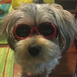 Meet your Posher, Paige